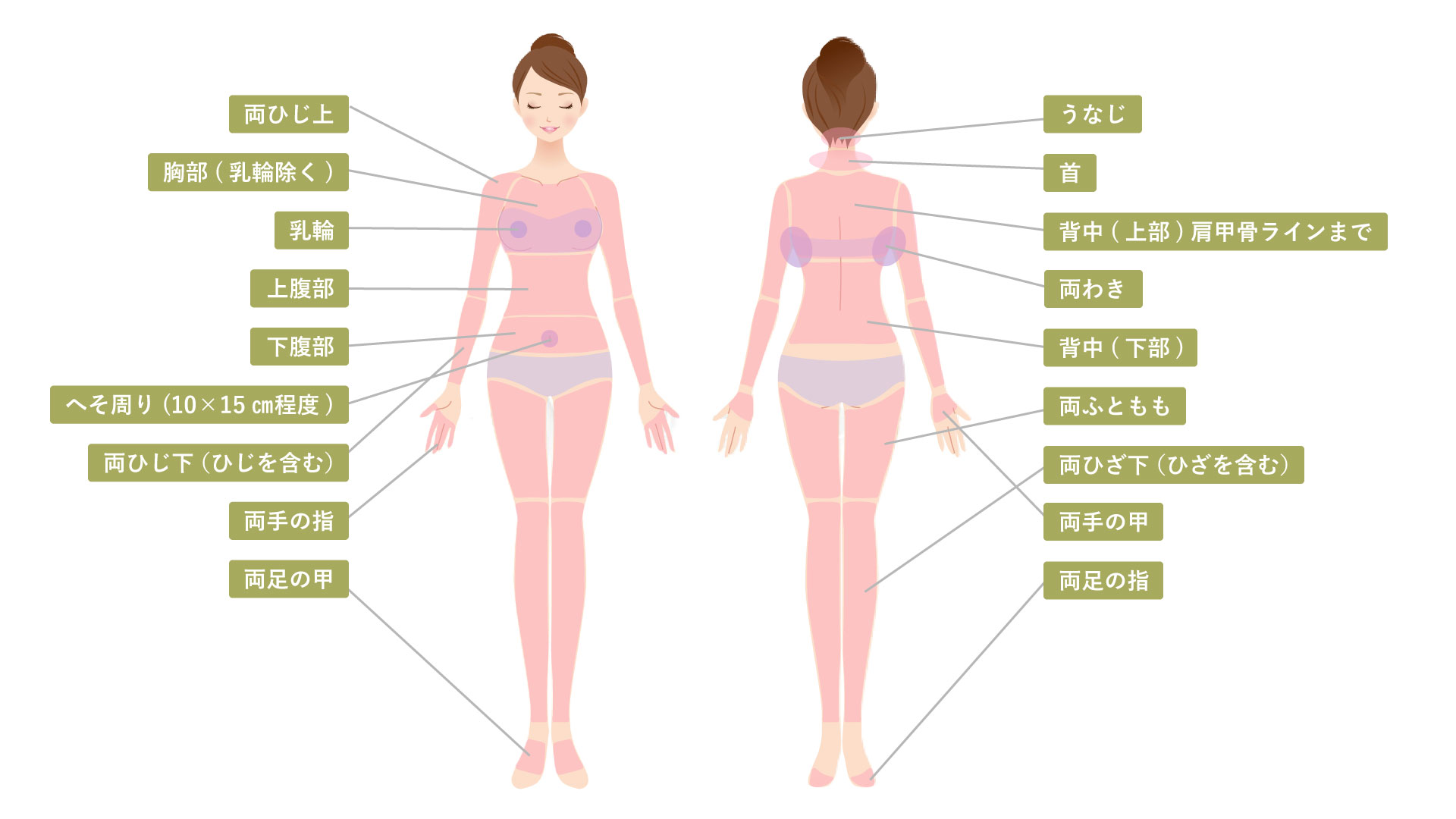施術箇所（体）
